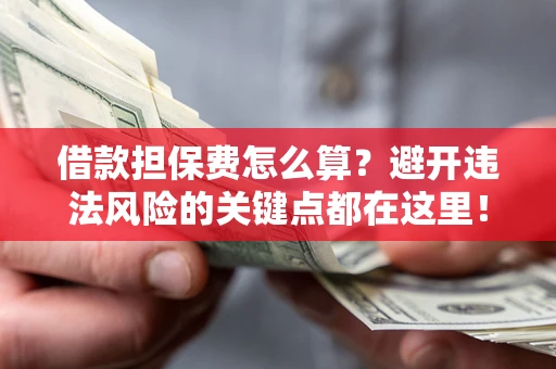 济南借款担保费怎么算？避开违法风险的关键点都在这里！