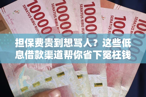 济南担保费贵到想骂人？这些低息借款渠道帮你省下冤枉钱