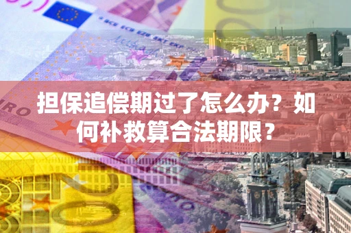 济南担保追偿期过了怎么办？如何补救算合法期限？