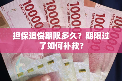济南担保追偿期限多久？期限过了如何补救？