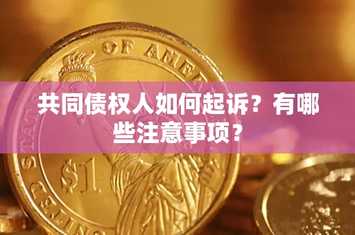 济南共同债权人如何起诉？有哪些注意事项？